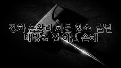 강화 흥왕리 화분 청소 🌱 꿀팁 대방출! 안 하면 손해?! 😱