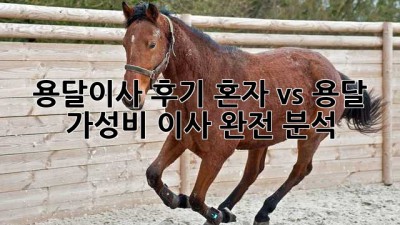 📦 용달이사 후기: 혼자 vs 용달, 가성비 이사 완전 분석! 🚚
